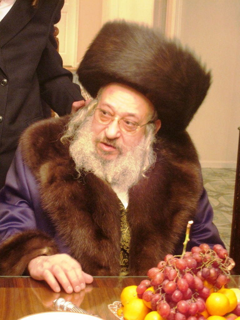 ביקור גומלין: האדמו"רים מדעעש וסאטמר