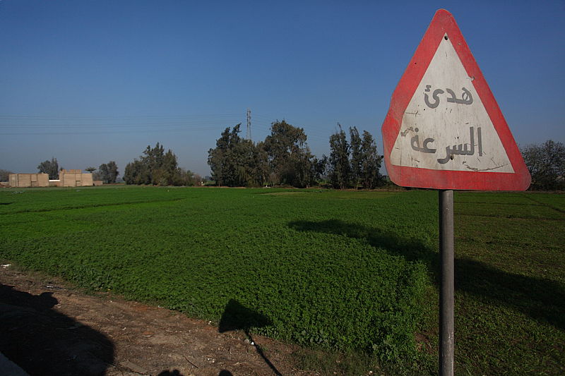 אלפי שנים לאחר השיעבוד: צלם "כיכר" מתעד במצרים