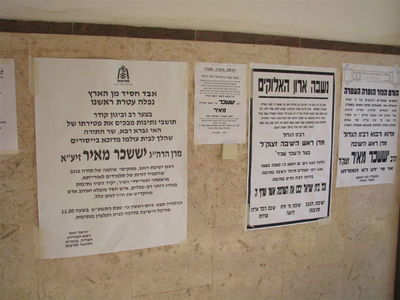 צילומים: יעקב מעלימי, חדשות שלנו דרום