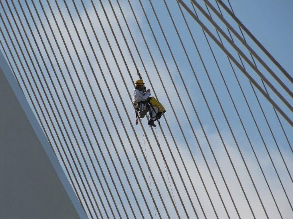 מחאת המיתרים: כך הם טיפסו