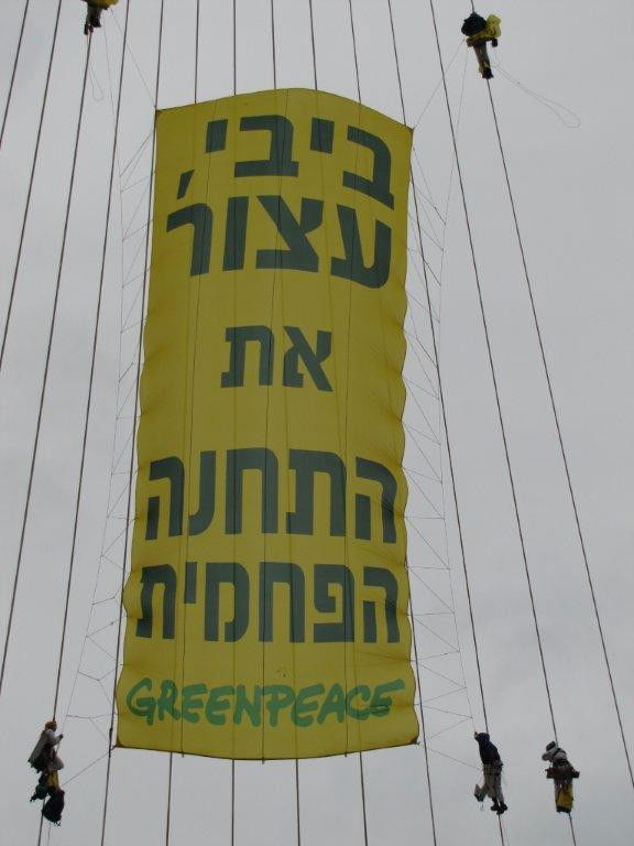 מחאת המיתרים: כך הם טיפסו