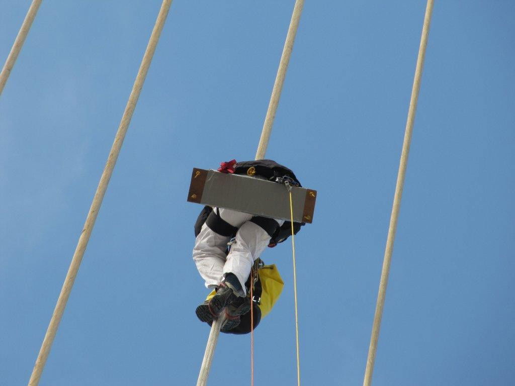 מחאת המיתרים: כך הם טיפסו