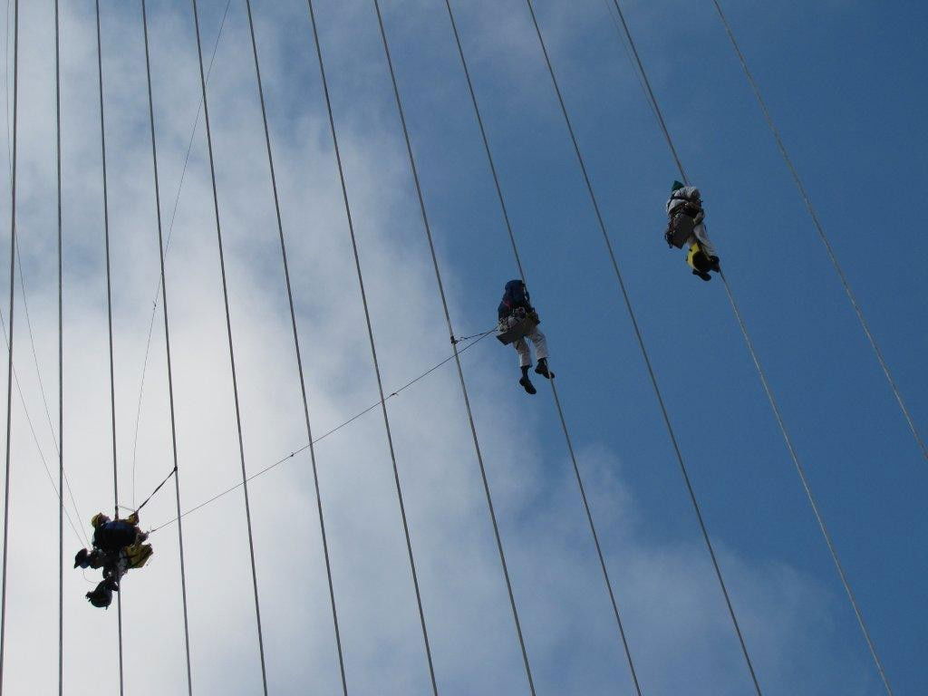 מחאת המיתרים: כך הם טיפסו