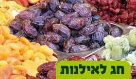 חג לאילנות: הסודות שמאחורי ט"ו בשבט