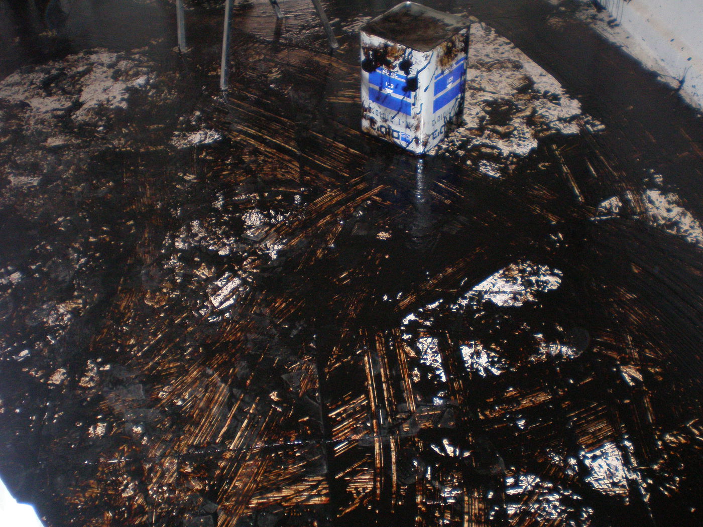 אנשי כולל פולין זרעו  וחורבן הרס בדירתם של משפחת שוויג