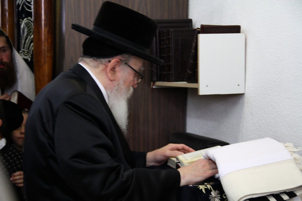 שעה לאחר שנחת בארץ: האדמו"ר מסקווירא בטיש