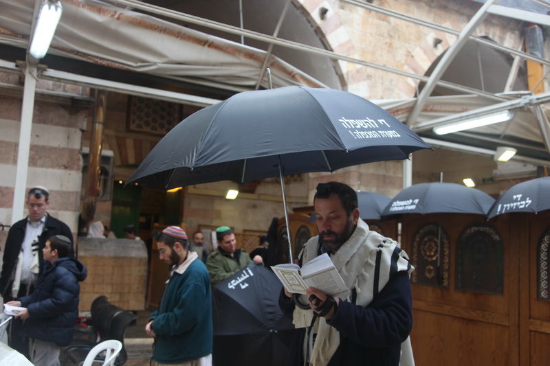 מחאה, תחת מטריה אחת