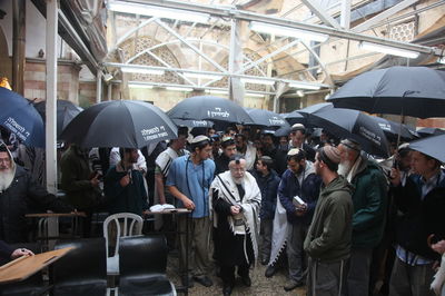 מחאה, תחת מטריה אחת