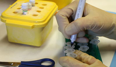 הסרטן מתפשט: עלייה בנתוני התחלואה