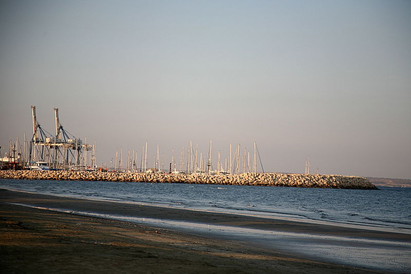אלפסי בעולם: מסע מרתק בקפריסין