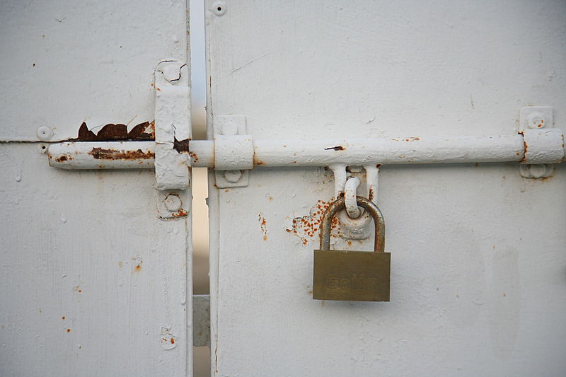 אלפסי בעולם: מסע מרתק בקפריסין