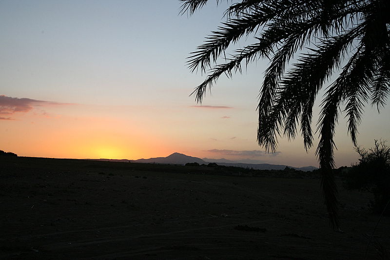 אלפסי בעולם: מסע מרתק בקפריסין