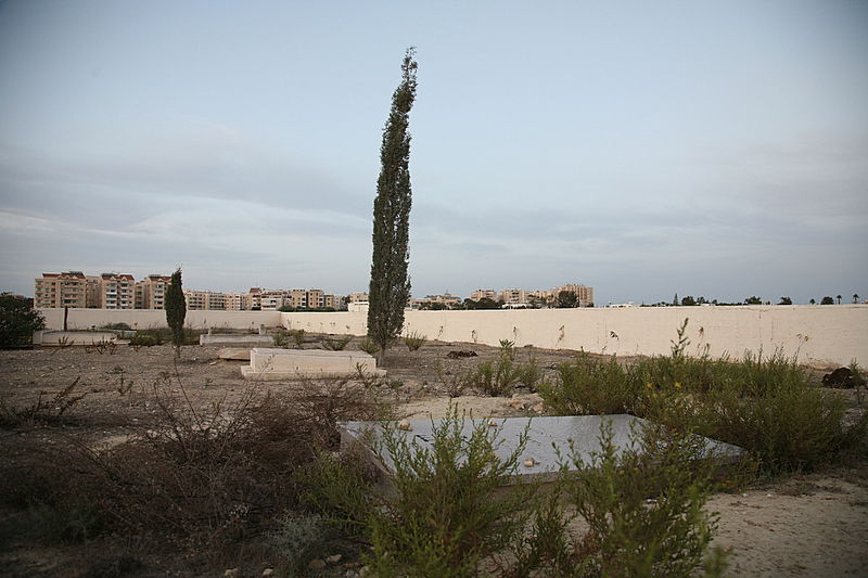 אלפסי בעולם: מסע מרתק בקפריסין