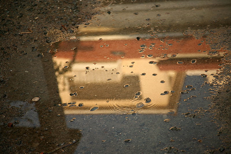 אלפסי בעולם: מסע מרתק בקפריסין