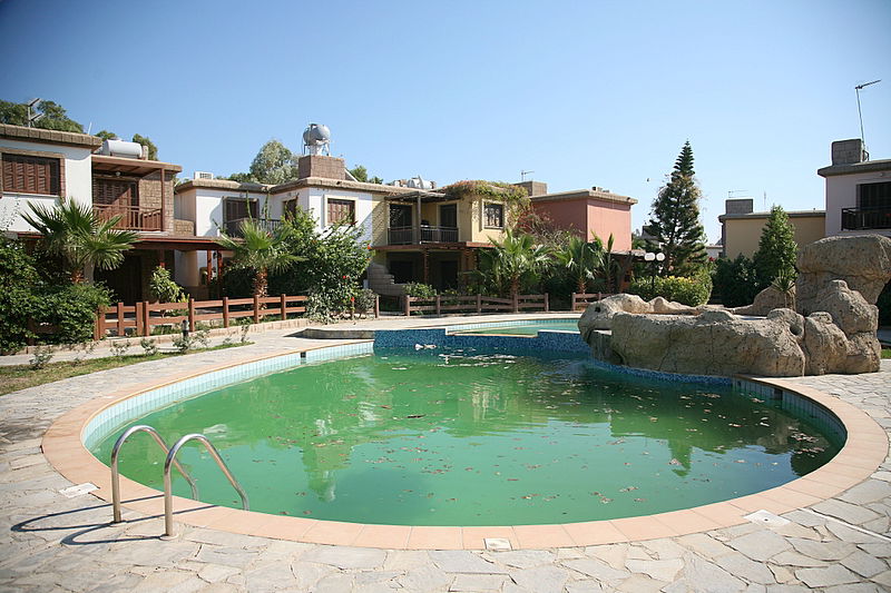 אלפסי בעולם: מסע מרתק בקפריסין