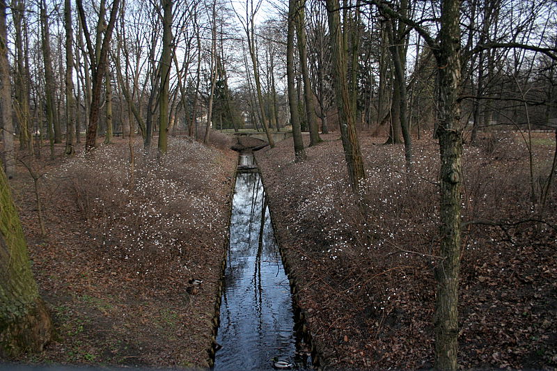אלפסי בעולם: מסע אל פולין האחרת