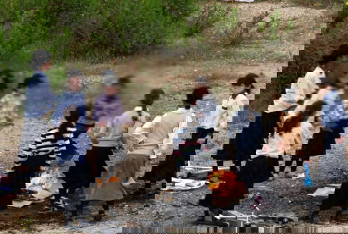 אילוסטרציה