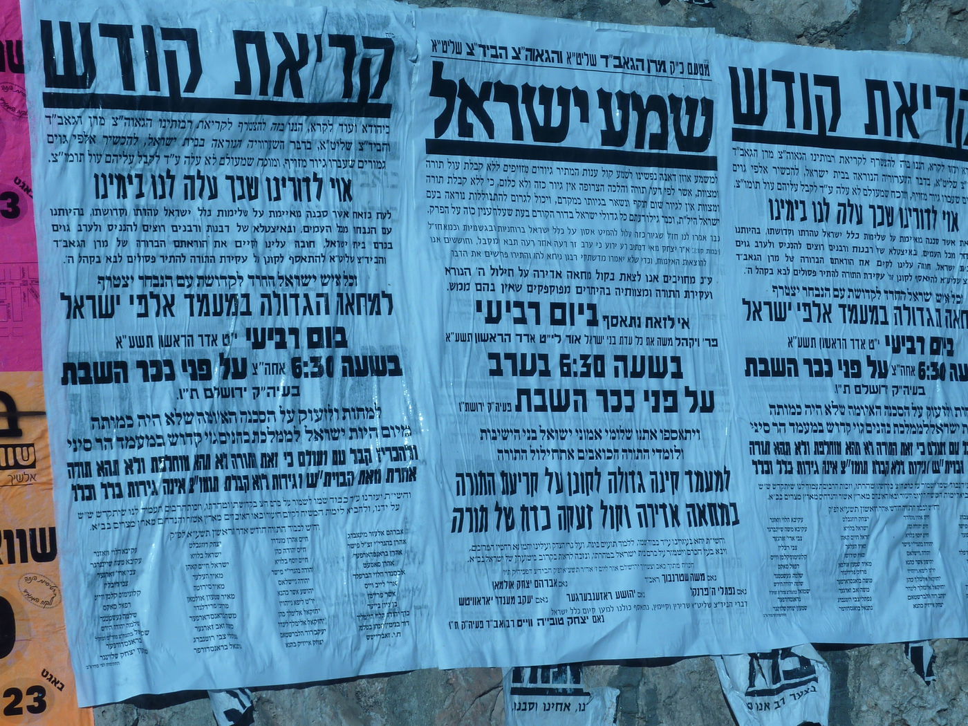 נאמני הגר"ע יוסף יזמינו את הציבור למפגן