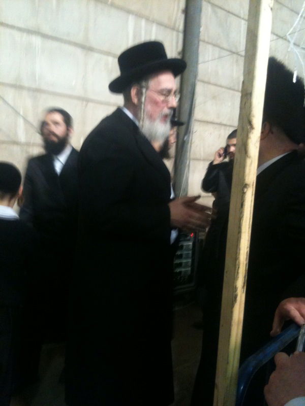 צפו: תמונות שהודלפו מחתונת סלונים