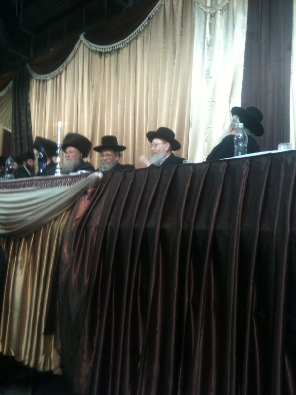 צפו: תמונות שהודלפו מחתונת סלונים