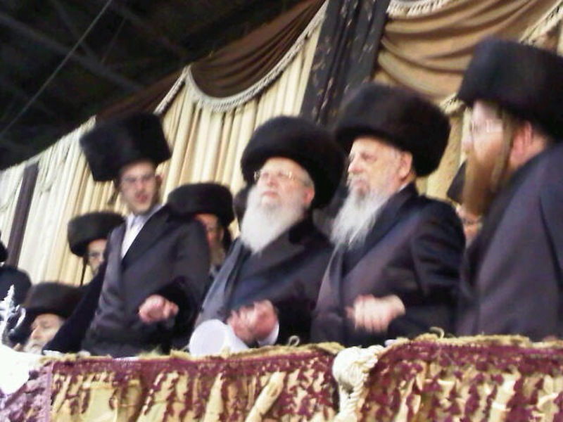 צפו: תמונות שהודלפו מחתונת סלונים