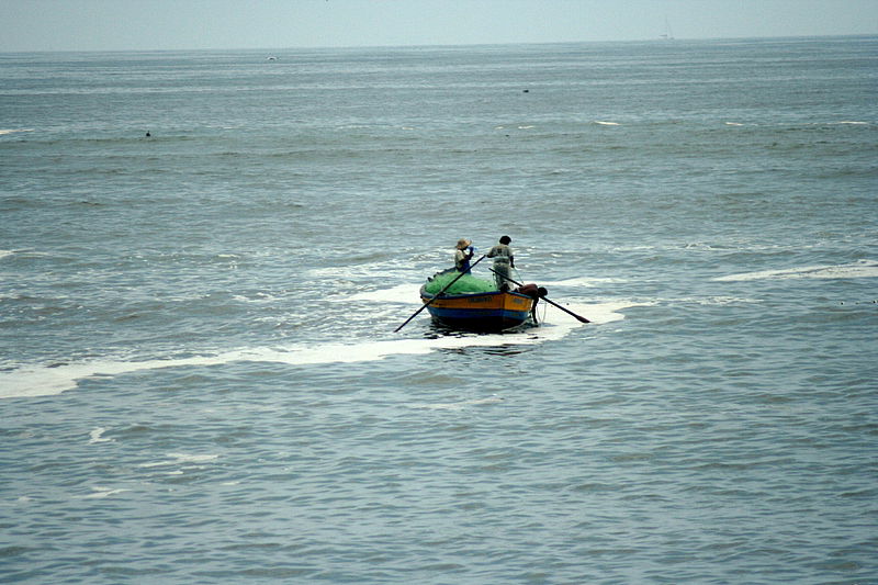 מסע לחבל ארץ עוצר נשימה: אלפסי בעולם בתמונות מפרו