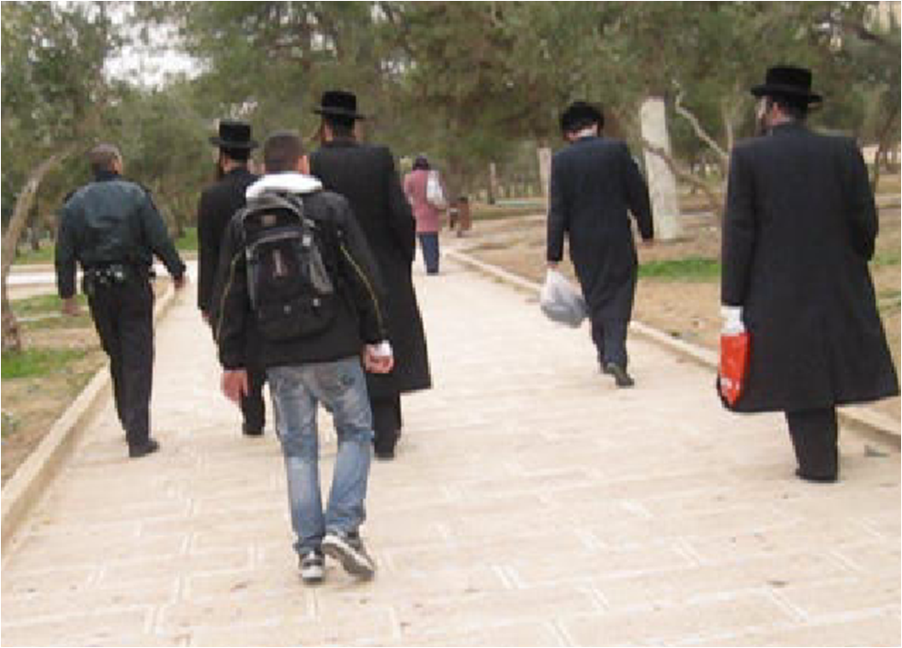 צפו בתמונות: שוטרים מורידים נעליים בהר הבית