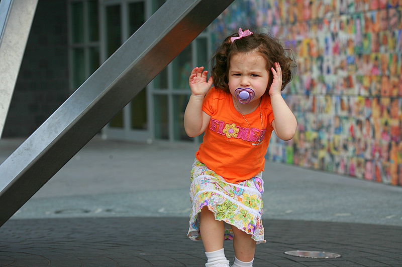 תיירות: מאיר אלפסי מגלה את אמריקה