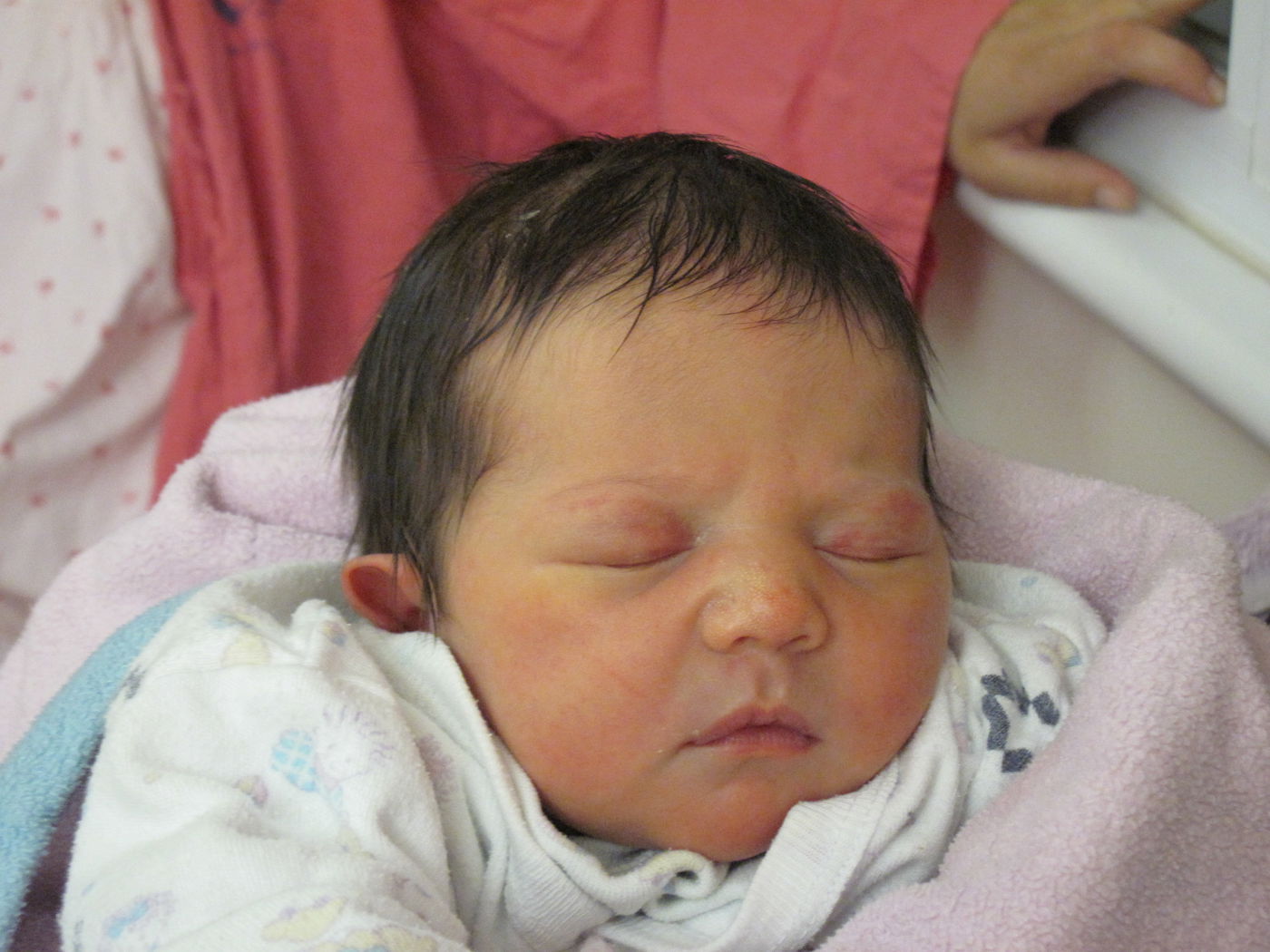 "הפיגוע מוכיח שוב שהפת"ח אינו חפץ בשום תהליך מדיני"