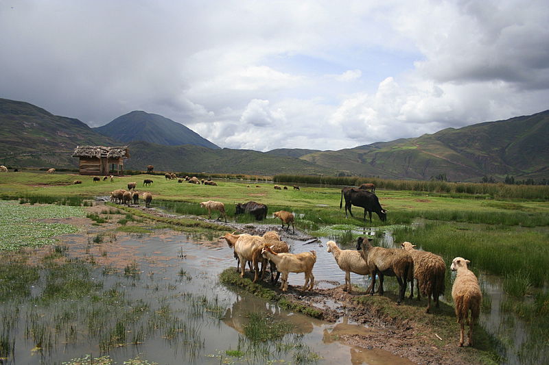 אלפסי בעולם: מסע אל הלגונה הנעלמת