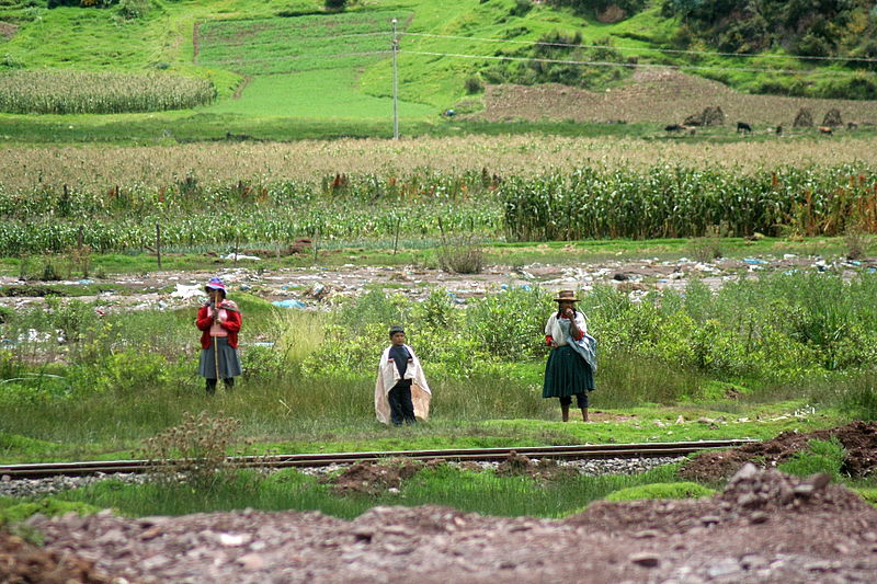 אלפסי בעולם: מסע אל הלגונה הנעלמת