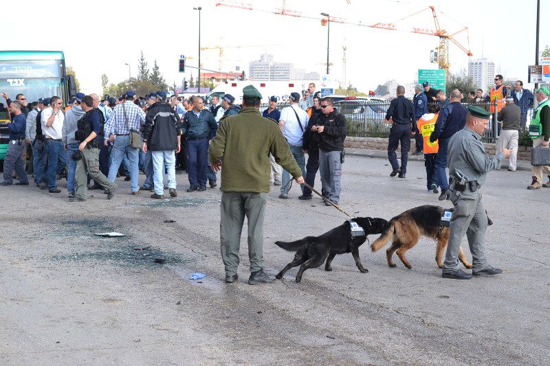 דם, ותמרות עשן: תיעוד מחריד מהזירה