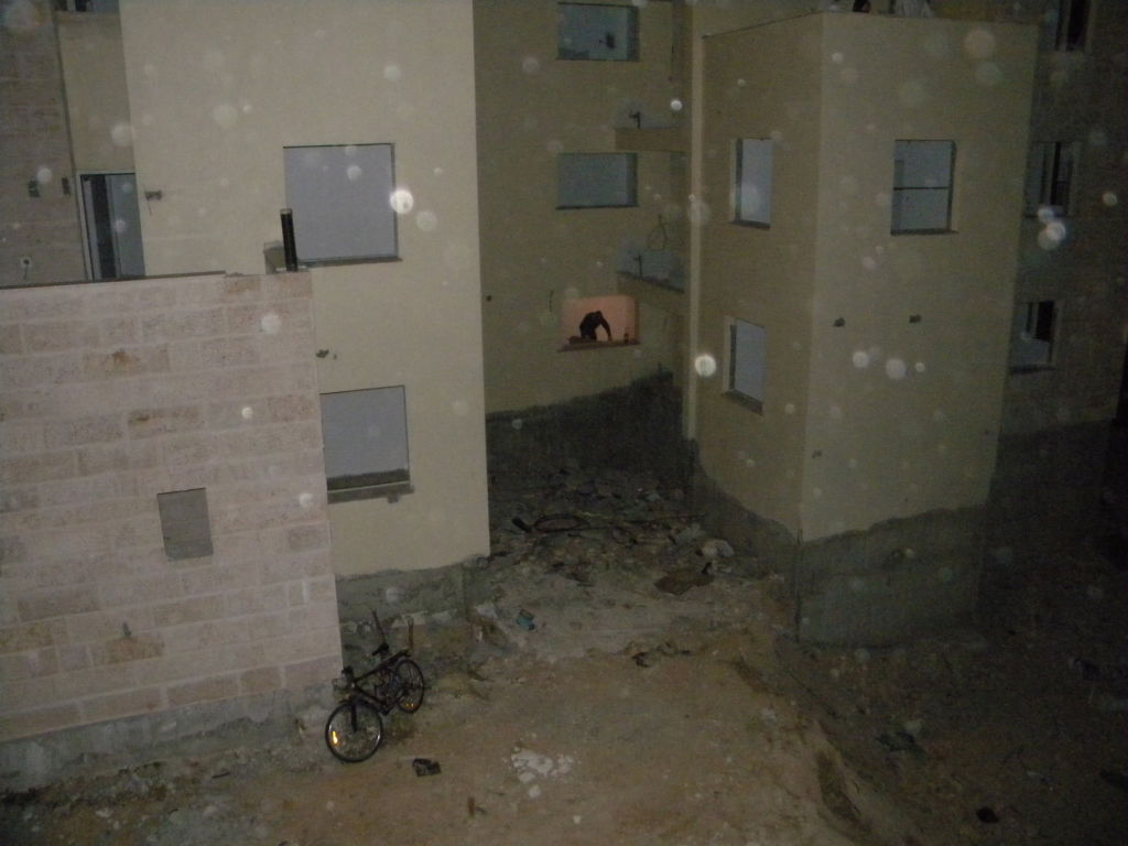 פולשי "נאות הפסגה" יוצאים לקרב חייהם: "לא נזוז מכאן"