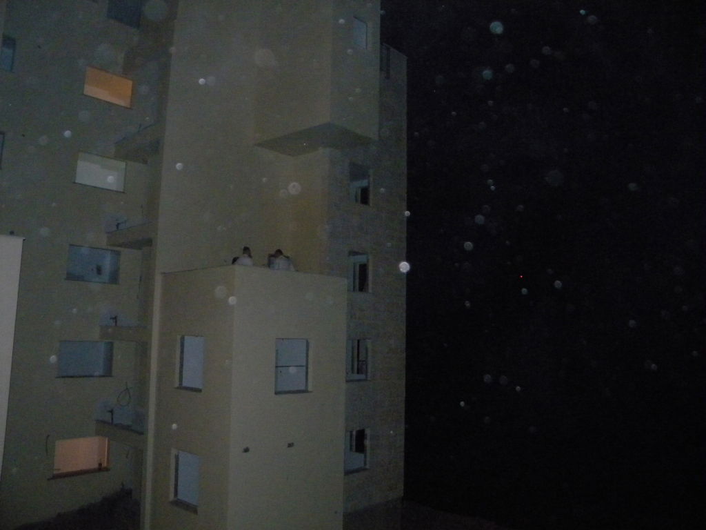 פולשי "נאות הפסגה" יוצאים לקרב חייהם: "לא נזוז מכאן"