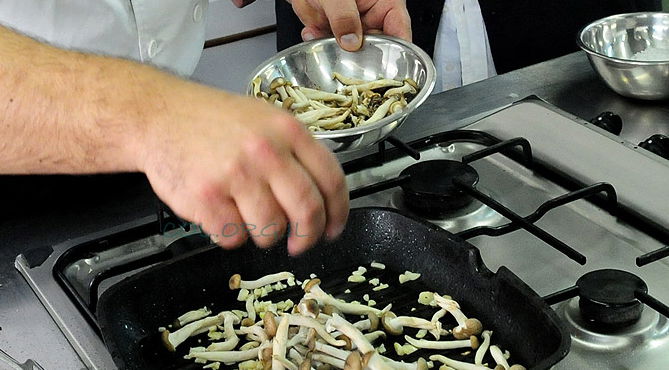 (צילום אילוסטרציה: ברלה שיינר, COL)