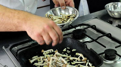 (צילום אילוסטרציה: ברלה שיינר, COL)