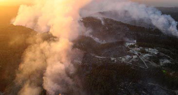 אילוסטרציה