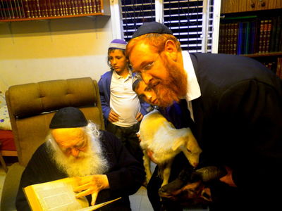 אנשי הר-הבית הגיעו לבית הגר"ח קנייבסקי עם גדיים
