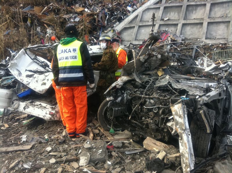 שכייח ביפנית