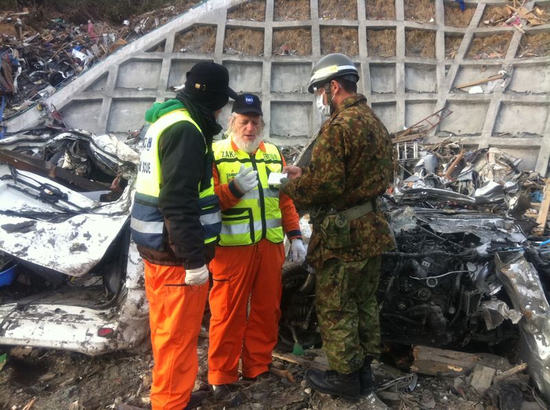 שכייח ביפנית