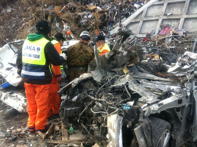 שכייח ביפנית