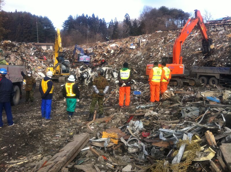 שכייח ביפנית