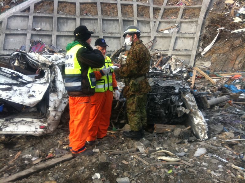 שכייח ביפנית