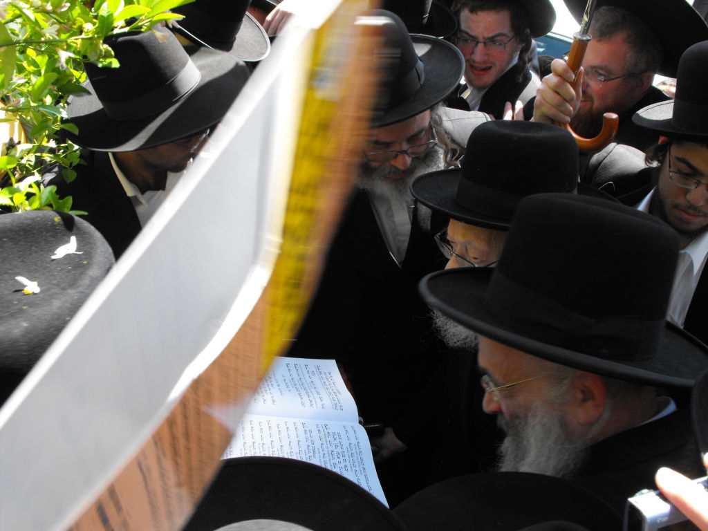 לְהַנּוֹת בָּהֶם בְּנֵי אָדָם: הגרי"ש אלישיב ב"ברכת האילנות"