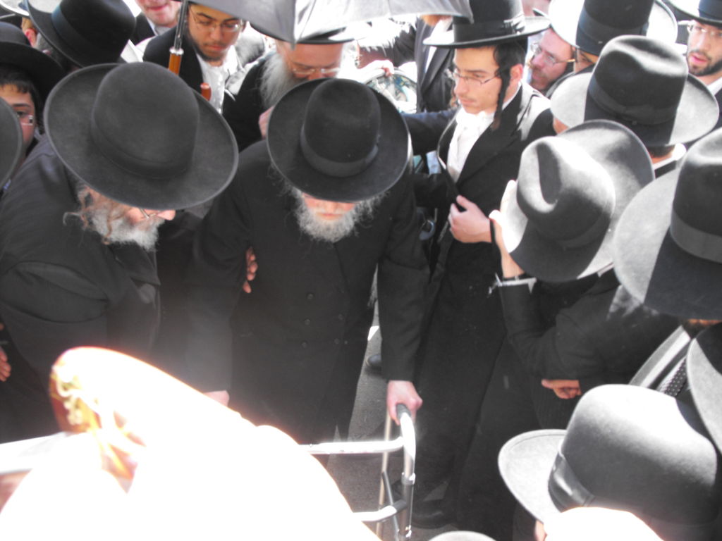 לְהַנּוֹת בָּהֶם בְּנֵי אָדָם: הגרי"ש אלישיב ב"ברכת האילנות"