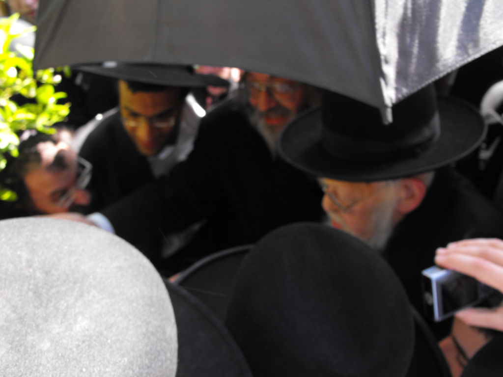 לְהַנּוֹת בָּהֶם בְּנֵי אָדָם: הגרי"ש אלישיב ב"ברכת האילנות"