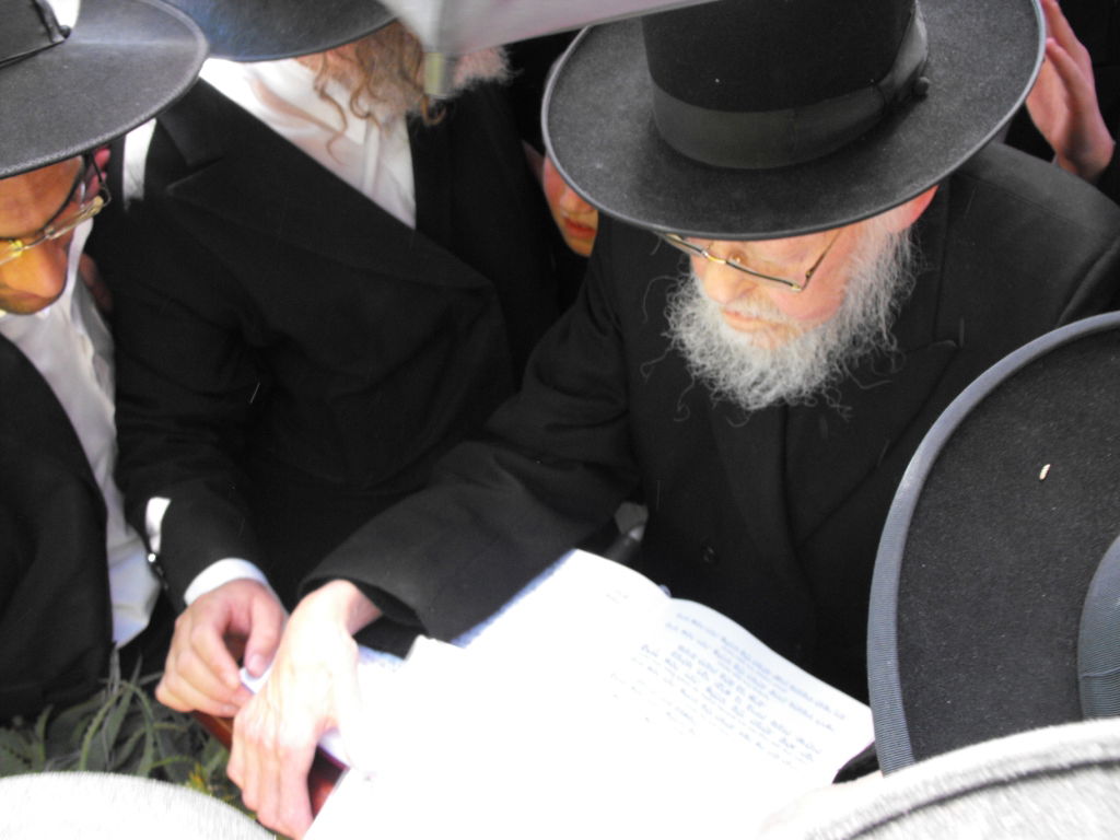 לְהַנּוֹת בָּהֶם בְּנֵי אָדָם: הגרי"ש אלישיב ב"ברכת האילנות"