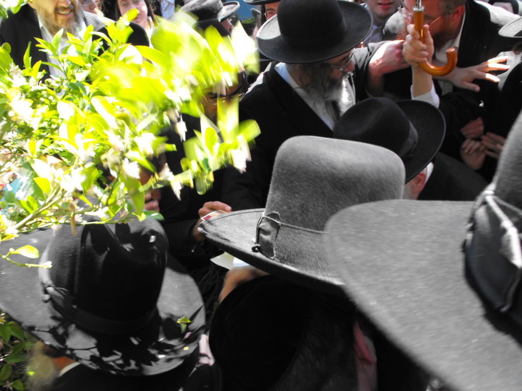 לְהַנּוֹת בָּהֶם בְּנֵי אָדָם: הגרי"ש אלישיב ב"ברכת האילנות"