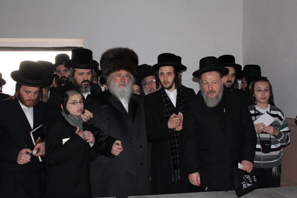 בחזרה לשְטֶטְל: מסע עם האדמו"ר ממונקאטש