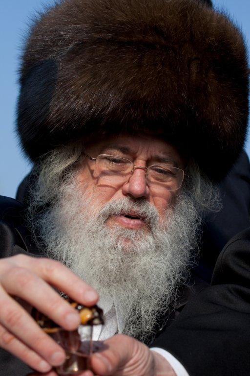 בחזרה לשְטֶטְל: מסע עם האדמו"ר ממונקאטש